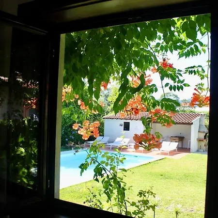 Casa Dos Esteios- Paredes Сasa de vacaciones